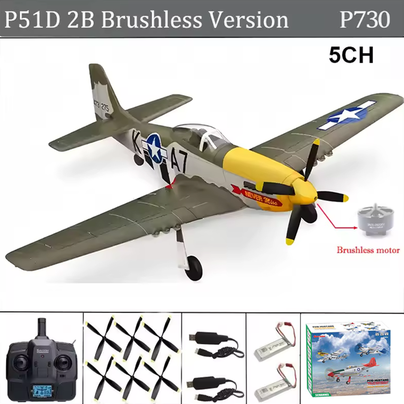 Rc Hobby Grade Helicopter - Avião RC 5 canais 3D/6G Asa